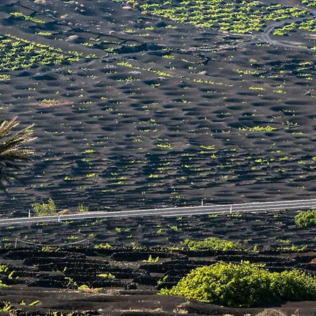 Feriehus Home2book Cozy Terrace House With Volcano Views Nazaret